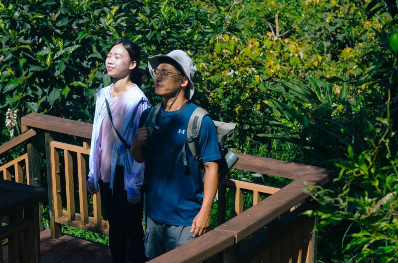 五感開啟！ 跟著煙波登蘇澳之嶺—七星嶺步道，山海灣間尋覓身心的療方