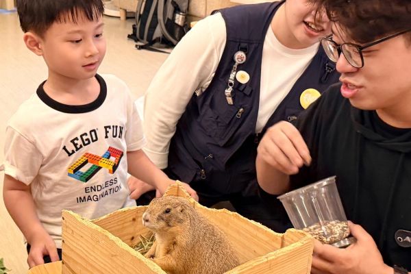 動物超能生存秘技｜零距離生態活動
